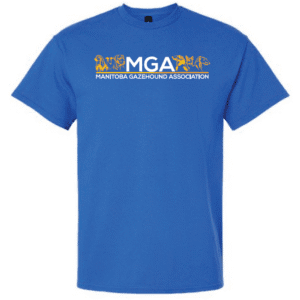 G200 Gildan Ultra Cotton T-Shirt - Royal